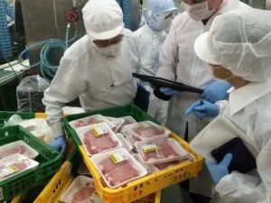 FoodProcessOptimisation-708x531