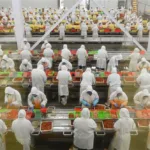 FUZHOU-SPECIFIC PRE-MADE DISHES INDUSTRY STANDARDS