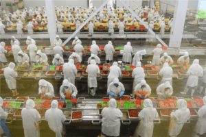 Padrões da indústria de pratos pré-fabricados específicos para fuzhou