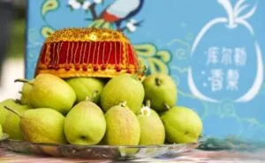 تطلق شينجيانغ أول قطار سلسلة بارد بارد في العام العطر لهذا العام