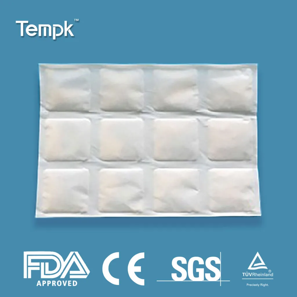 12-Cell Reusable Food-Grade Dry Ice Pack