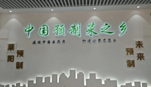 LAIYANG CITY: CHINA’S NUMBER ONE CITY FOR PRE-MADE FOOD