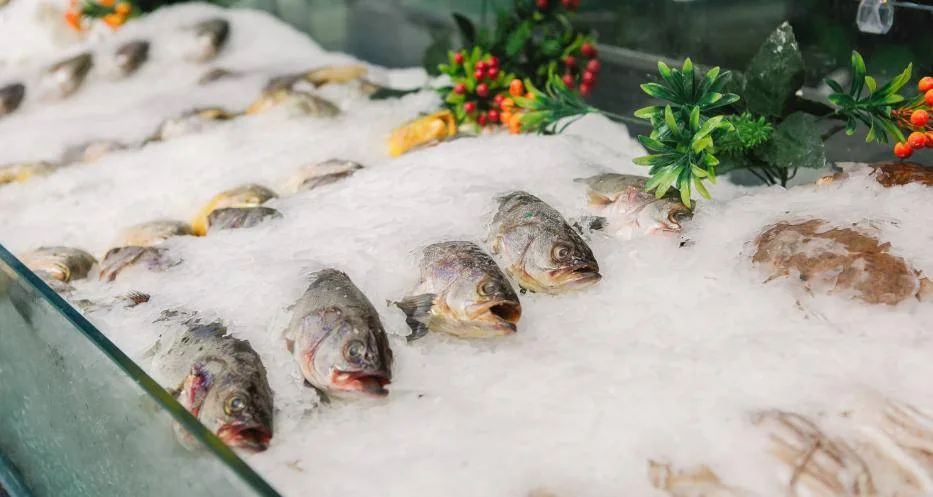 THE FIRST SEAFOOD DISTRIBUTION COLD CHAIN LOGISTICS PROJECT IS PROGRESSING SMOOTHLY.