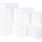 CAIXAS ISOLADAS COM ESPUMA EPS: MANTENDO A FRESCURA POR MAIS TEMPO EPS FOAM INSULATED BOXES: KEEPING FRESHNESS LONGER