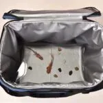Produktbild: PEVA auslaufsicherer Thermobeutel für lebende Fische 2