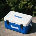 EPP Cooler Boxes: Sustainable, Durable cadeia de frio Solutions