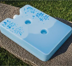 Sustainable Ice Blocks