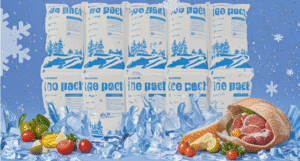 Dry Ice Cold Packs