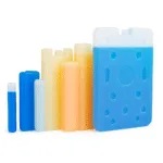 Ice Brick Supplier Guide for cadeia de frio Buyers