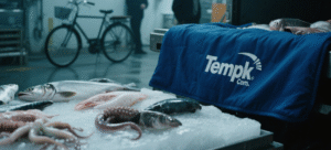 Selimut freezer untuk transportasi makanan Freezer Blanket For Food Transport cold chain keyword guide