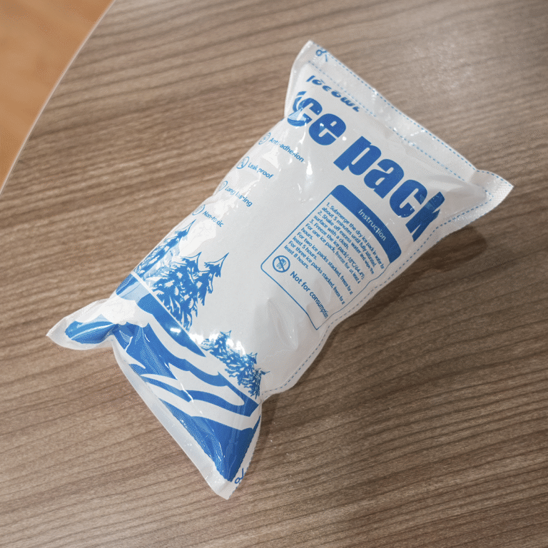 Dry Ice Packs for Shipping 24 Hours