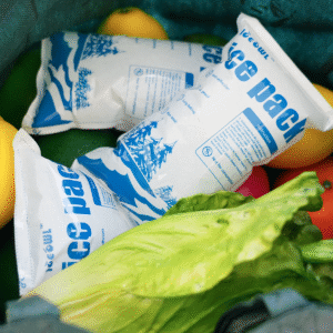 Packs de glace sec pour l'expédition