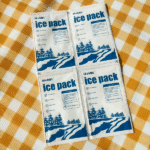 Packs de glace sec contre gel pour l'expédition: Ce qui est le mieux pour vos besoins en chaîne froide