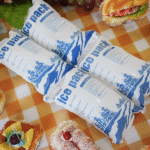 Dry Ice Packs for Shipping Ice Cream: 2025 Guide