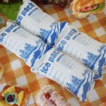 Dry Ice Packs for Shipping Ice Cream: 2025 Guide