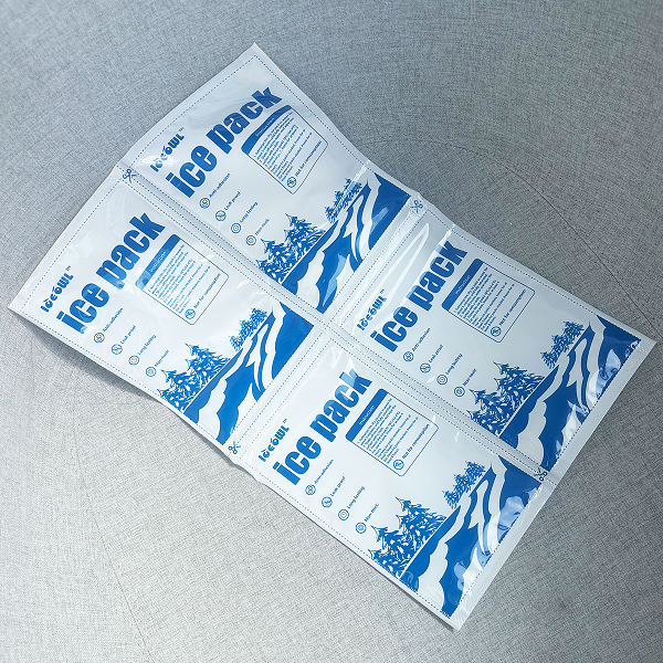 Dry ice packs overnight
