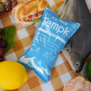 Dry Ice Packs for Travel