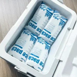 Dry Ice to Pack Food