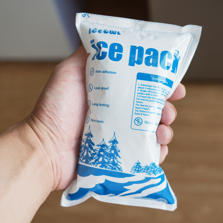 Dry Ice Packs for Shipping Frozen Food 72 Hours
