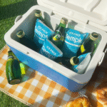 Trockeneisbeutel 10 lb: How It Enhances Cold Chain Logistics