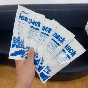 Dry Ice Bags Keep Ice Cream Frozen
