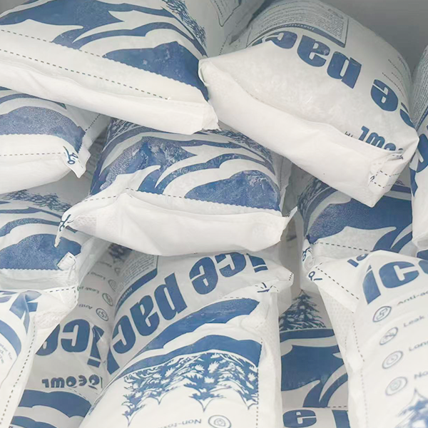 Dry Ice and Gel Packs