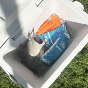 Dry Ice Bags for Lunch Bags