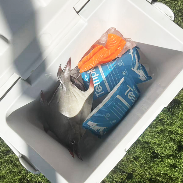 Dry Ice Bags for Lunch Bags