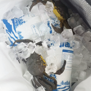 ¿Cuánto dura el hielo seco en una bolsa?