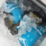 How Long Does a Dry Ice Pack Maintain Cold in a Cooler?
