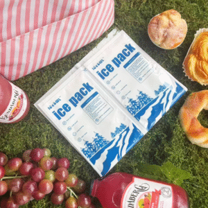 Dry Ice Packs for Lunch Bags