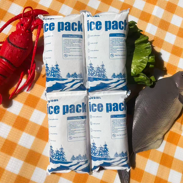 mini dry ice packs