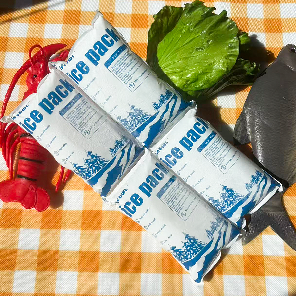Nice Packs dry ice pack