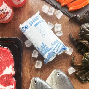 Dry Ice Packs for Seafood