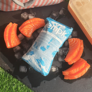 Dry Ice Better Than Gel Packs