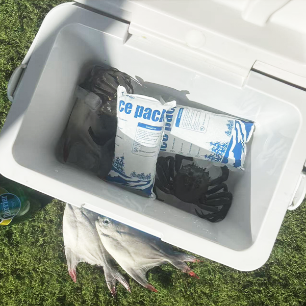 Dry Ice Bag for Groceries