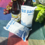Do Dry Ice Bags Need Absorbent Pads for Safe Shipping?