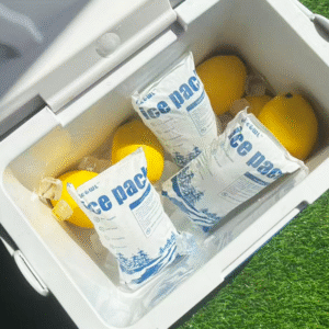Dry Ice Pack Lunch Box