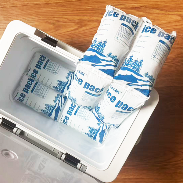 small pack of dry ice