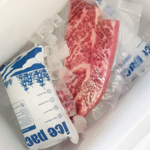 How to Use Dry Ice Packs