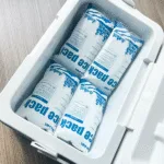 How Can Dry Ice Bags Ensure Vaccines Stay Within the 2–8°C Range?