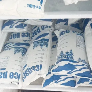 Bring a Dry Ice Bag on a Plane