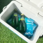 Why Choose Foil-Lined Dry Ice Bags for Efficient Kühlkette Shipping?