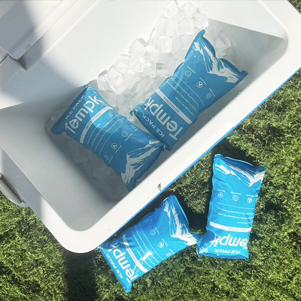 dry ice bags keep ice cream frozen