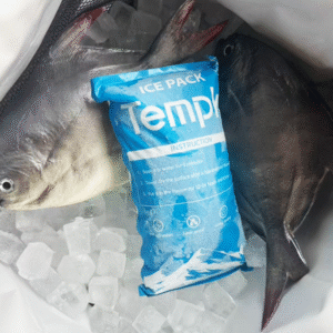 Packs de substitut de glace sec