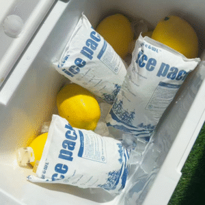 dry ice pack shipping regulations