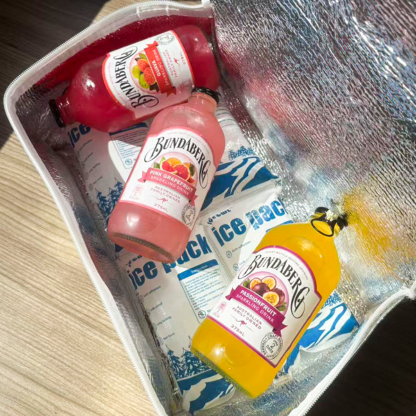 Reusable dry ice gel packs