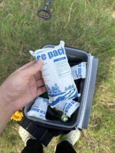 Hoja de bolsa de hielo seco Entrega al día siguiente