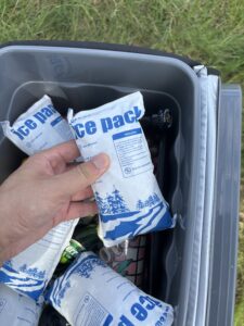 Trockeneisbeutel für den Versand von Meeresfrüchten