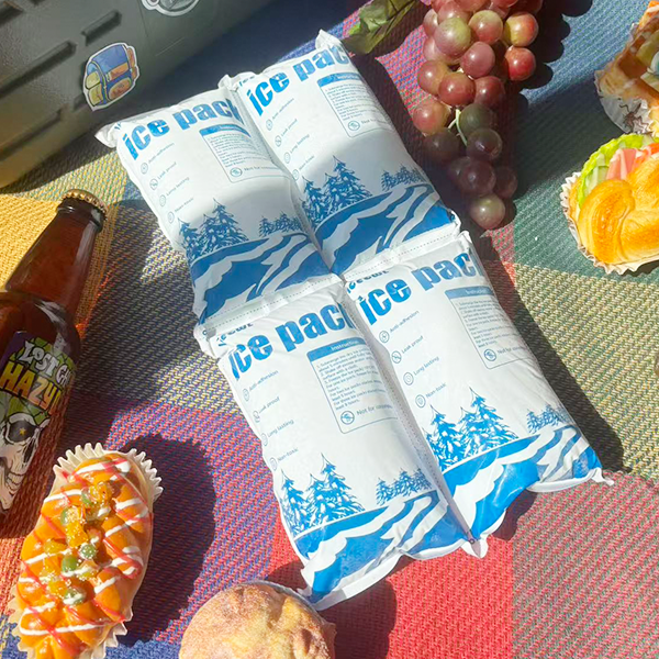 Laboratory Dry Ice Packs